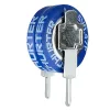 100000uF 5.5V -20/+150% vertical d=11x5mm - SCHURTER - 3-158-702