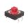 DTS 24R - DIPTRONICS - DTS-24R-V