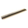 2 X 50W Stiftleiste - GARRY - 088-2-100-0-F-XS0-1080