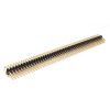 2 X 50W Stiftleiste - GARRY - 088-2-100-0-F-XS0-1080