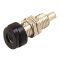 4mm Banana Socket Black - HIRSCHMANN - BUG10BLACK(930175100)