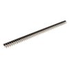 50WZ Stiftleiste - GARRY - 088-1-050-0-T-XS0-1080