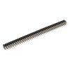 2 X 40G RM=2.0mm Buchsenleiste - FISCHER ELEKTRONIK - BLY280