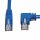 N204-010-BL-RA - TRIPP-LITE - N204-010-BL-RA