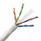 R898154 - REICHLE & DE-MASSARI - R898154