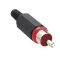 XSTO 1 Red RCA Plug - LUMBERG - XSTO1ROT