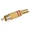RCA Plug Metal Gold-plated Red - GOOBAY - 11280