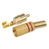 RCA Plug Metal Gold-plated Red - GOOBAY - 11280