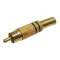 RCA Plug Metal Gold-plated Black - GOOBAY - 11281